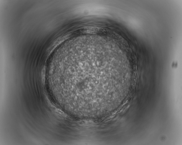 X0000100220194200806131322