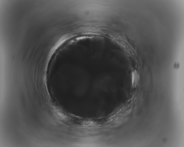 X0000100220195200806131322