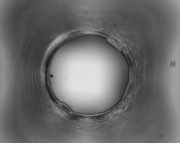 X0000100220197200806131322