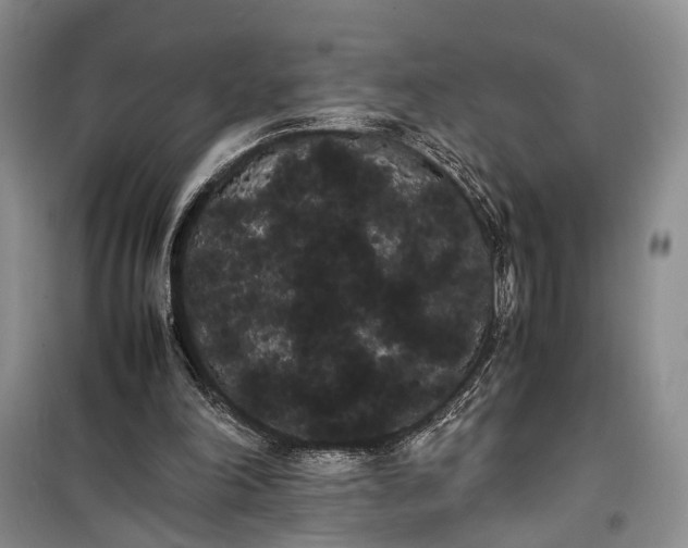 X0000100220198200806131322