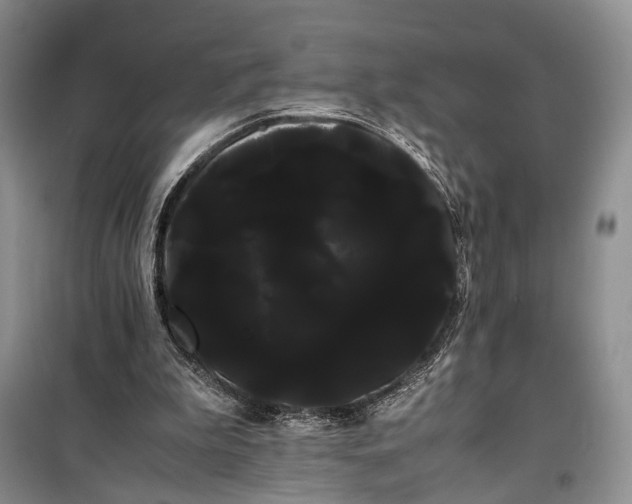 X0000100220199200806131322