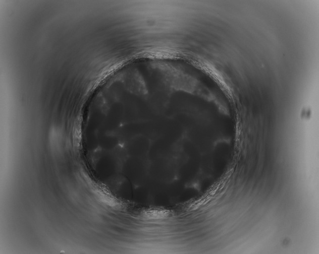 X0000100220202200806131321