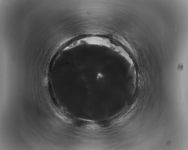 X0000100220203200806131321