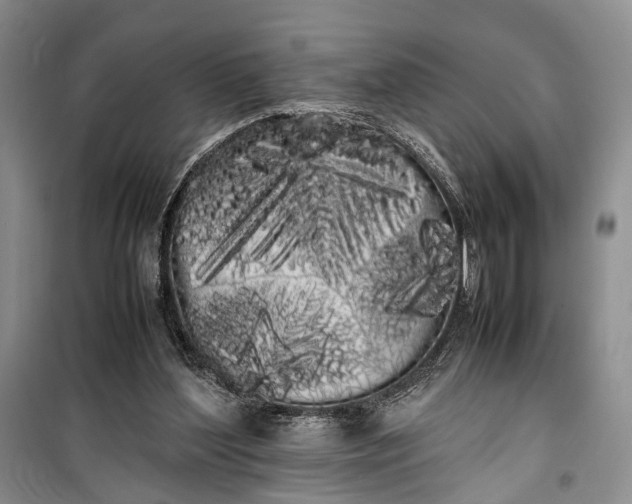 X0000100220204200806131321