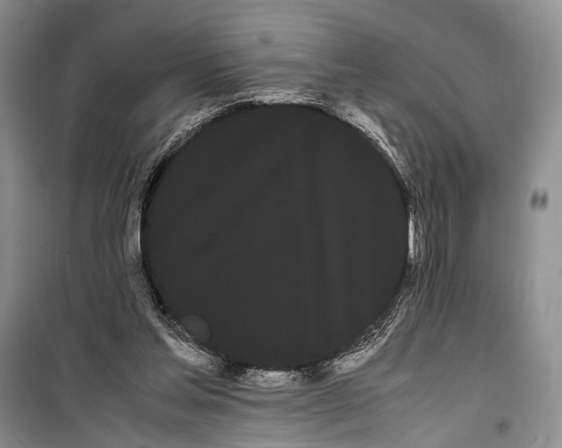 X0000100220205200806131321