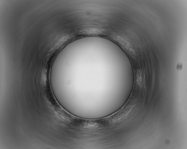 X0000100220206200806131321