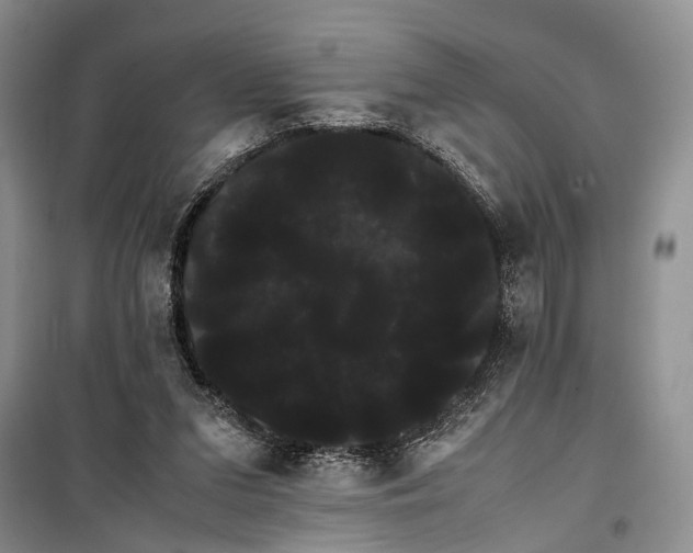 X0000100220207200806131321