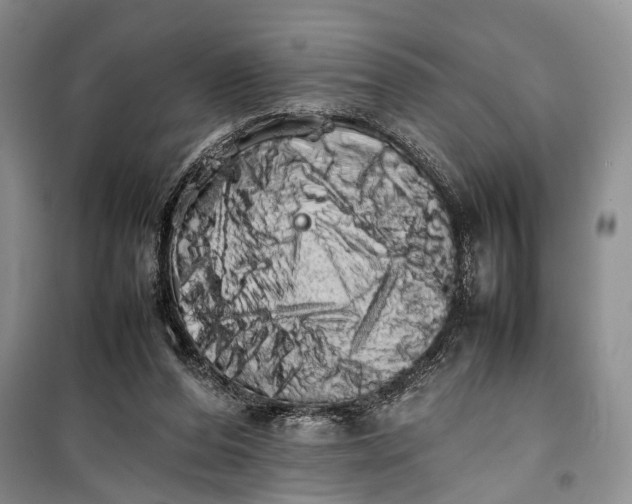 X0000100220208200806131321