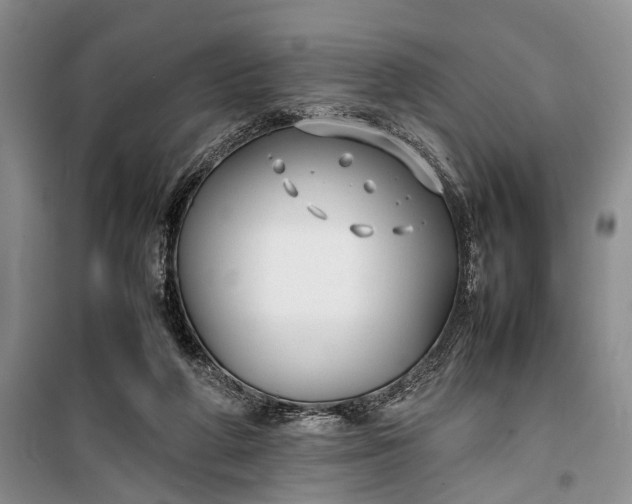 X0000100220210200806131321