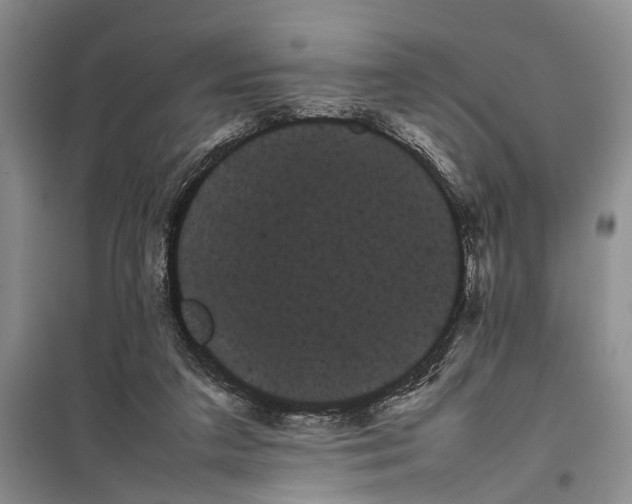 X0000100220211200806131321