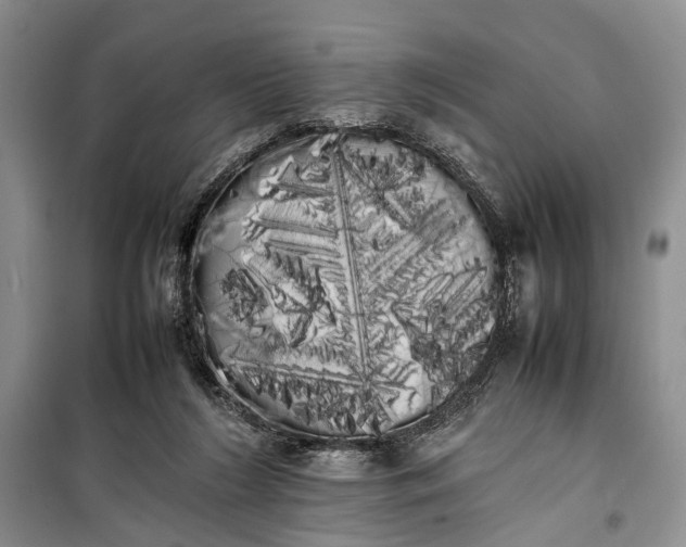 X0000100220212200806131321