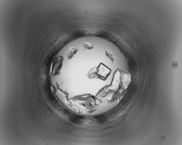 X0000100220215200806131321