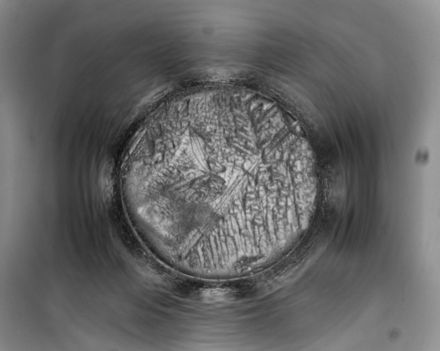 X0000100220216200806131321