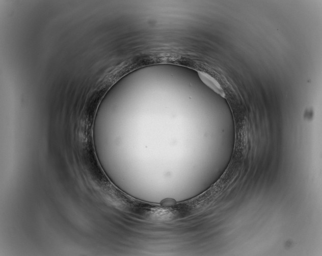 X0000100220218200806131321