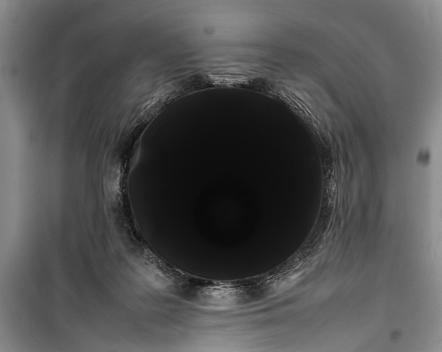 X0000100220219200806131321