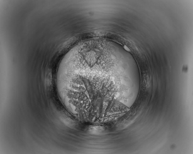 X0000100220220200806131321