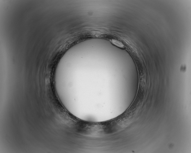 X0000100220221200806131321