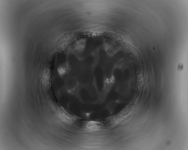 X0000100220222200806131321