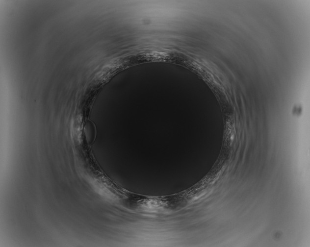 X0000100220223200806131321