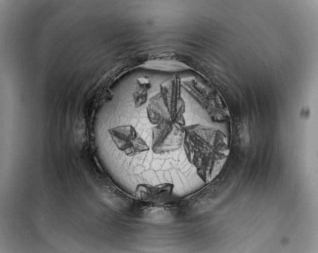 X0000100220224200806131321