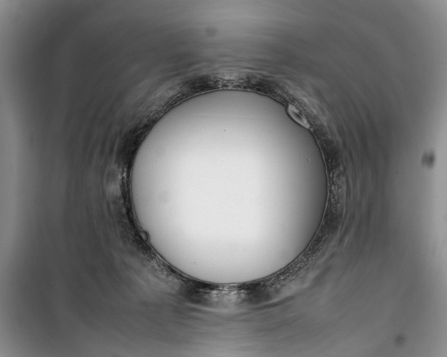 X0000100220225200806131321