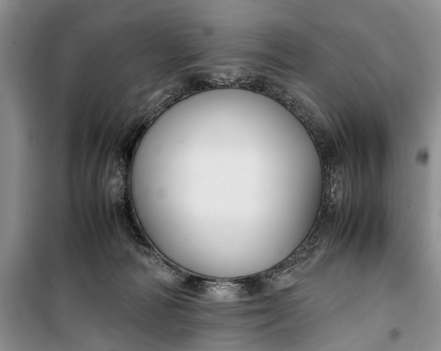 X0000100220226200806131321