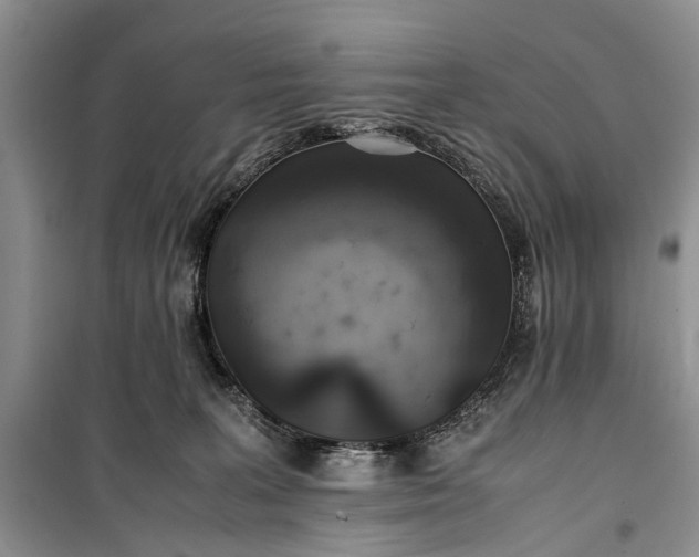 X0000100220227200806131321