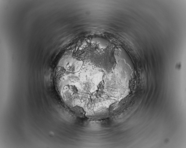 X0000100220228200806131321