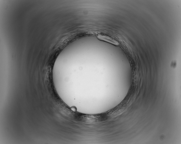 X0000100220229200806131321