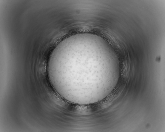 X0000100220230200806131321