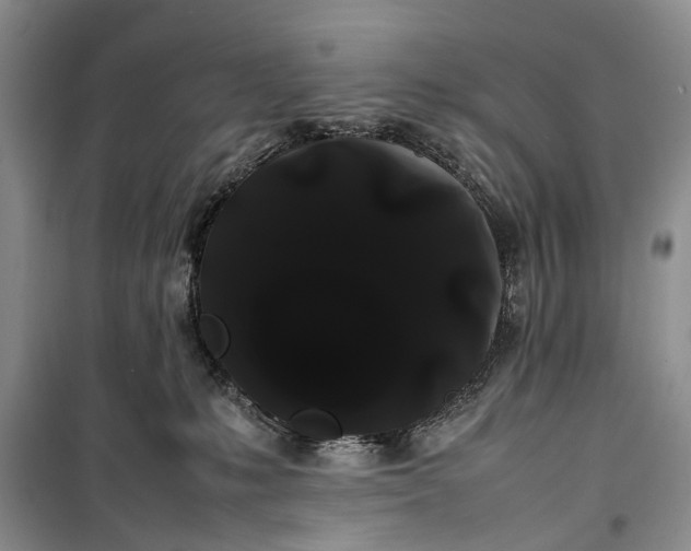 X0000100220231200806131321