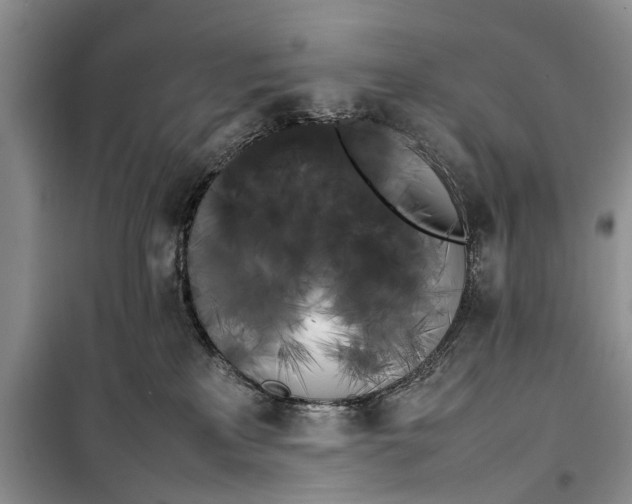 X0000100220233200806131321