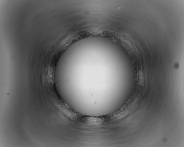 X0000100220234200806131321