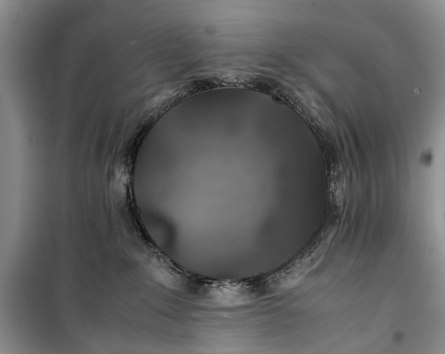 X0000100220235200806131321