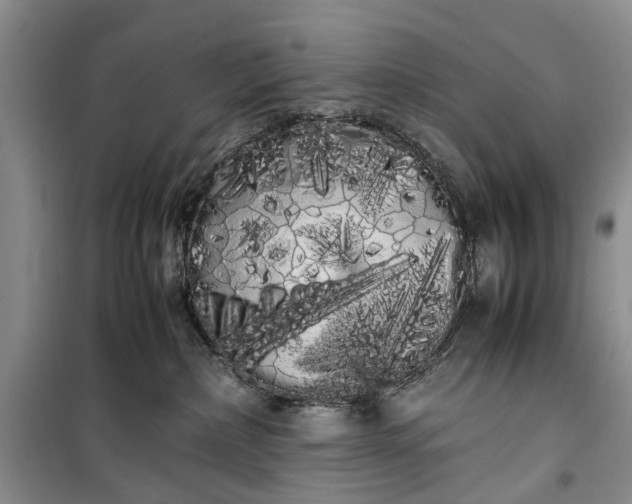 X0000100220236200806131321