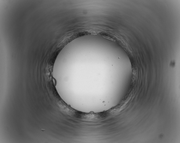 X0000100220237200806131321