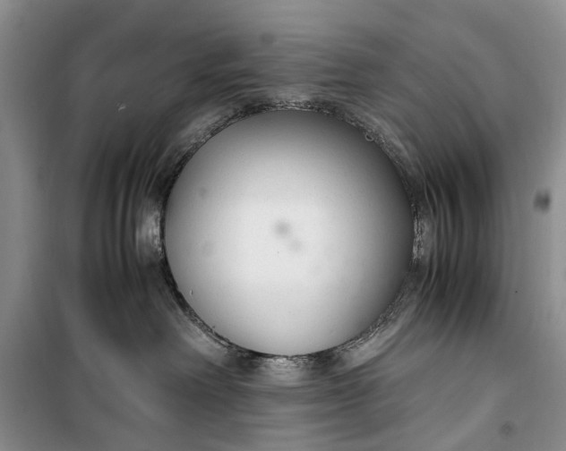 X0000100220238200806131321