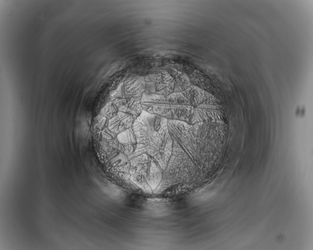 X0000100220240200806131321