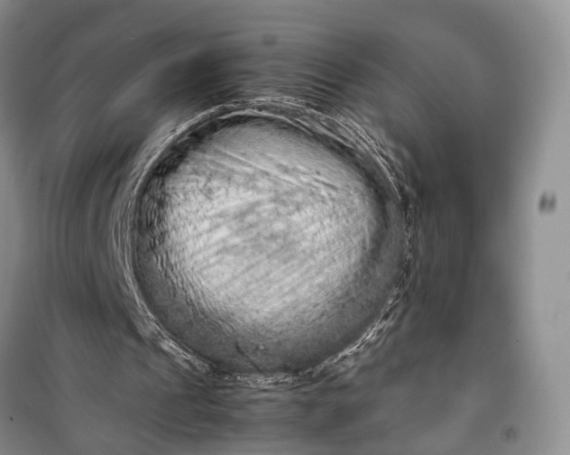 X0000100220241200806131320