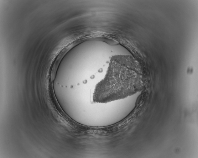 X0000100220242200806131320