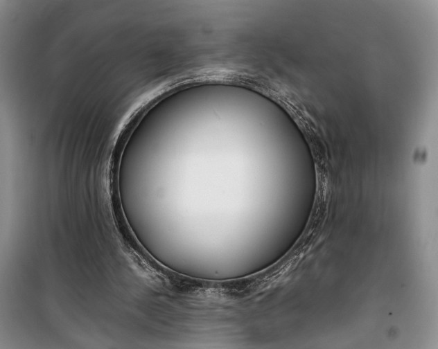 X0000100220244200806131320