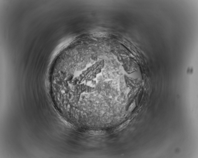 X0000100220245200806131320