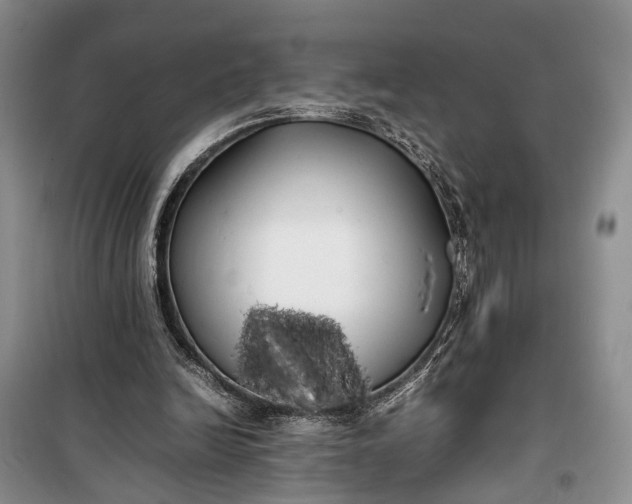 X0000100220246200806131320