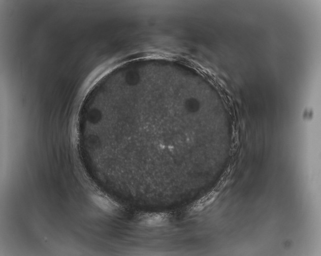 X0000100220247200806131320