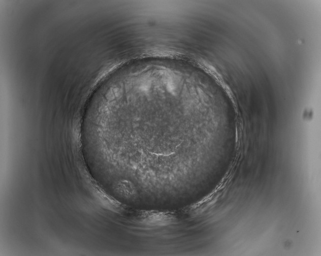 X0000100220249200806131320