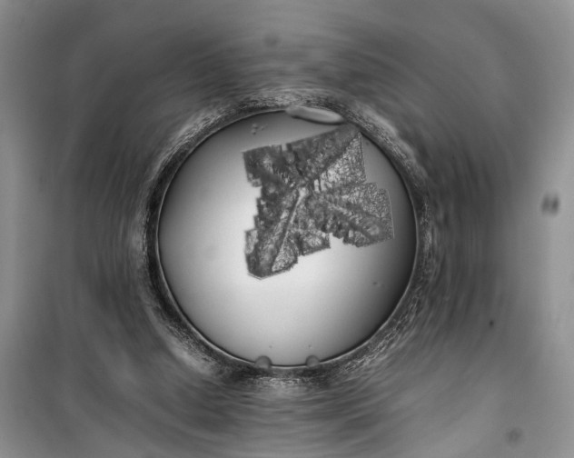 X0000100220250200806131320