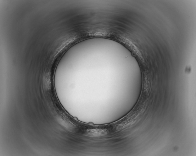 X0000100220251200806131320