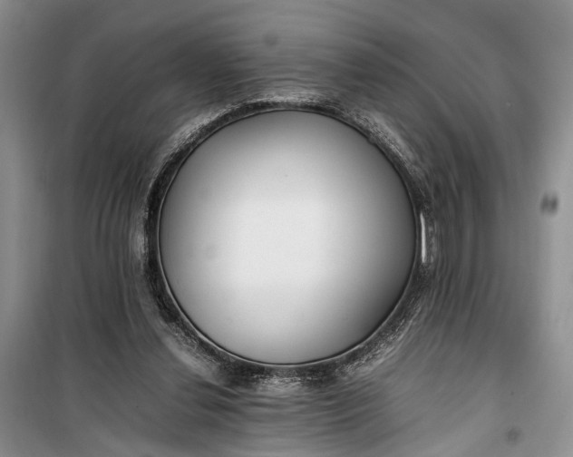 X0000100220252200806131320