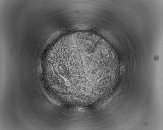 X0000100220254200806131320