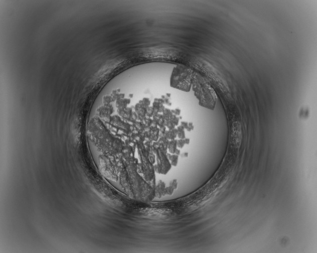 X0000100220255200806131320